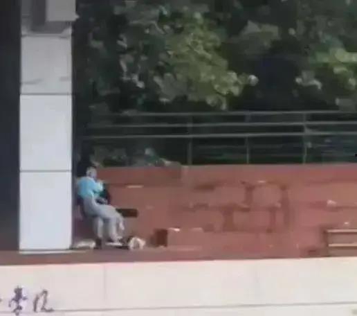 郑州学校吃瓜视频,揭秘校园饮食安全疑云