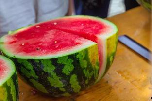 复旦大学吃瓜视频资源,揭秘校园生活趣味瞬间