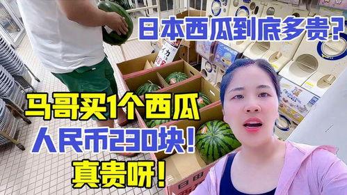 马哥吃瓜比赛是哪一集视频,揭秘热门剧集幕后花絮