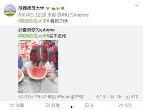 各高校吃瓜视频资源,校园生活趣味瞬间大盘点