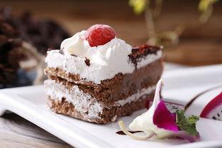 阿坤和瓜帅吃蛋糕视频大全,共享蛋糕欢乐时光